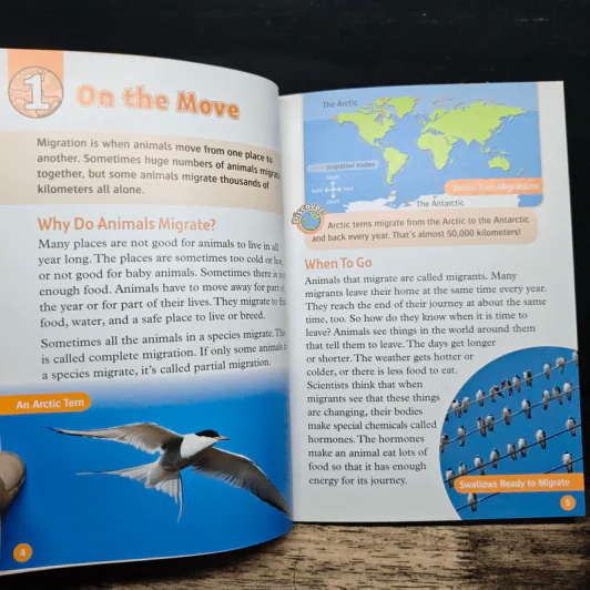 Great Migrations รูปที่ 8