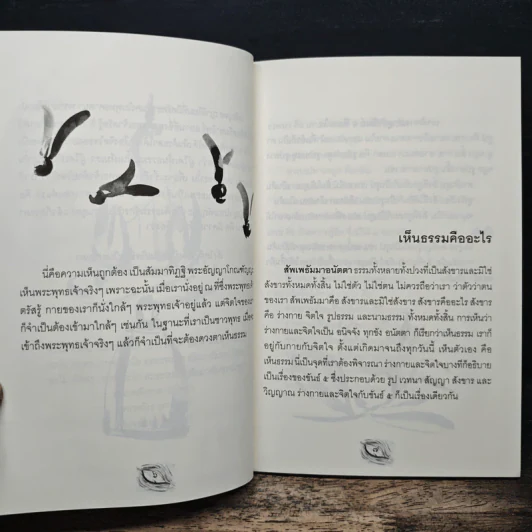 ดวงตาเห็นธรรม - พระอาจารย์มิตซูโอะ คเวสโก รูปที่ 8