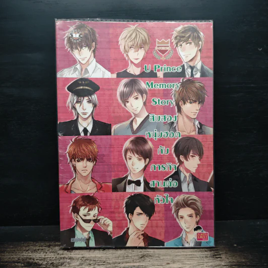 U Prince Memory Story สิบสองหนุ่มฮอตกับภารกิจสานต่อหัวใจ รูปที่ 1