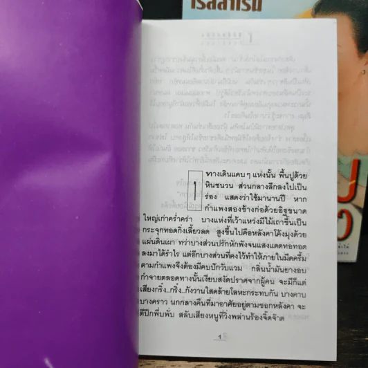 โสมส่องแสง 2 เล่มจบ - โรสลาเรน รูปที่ 6