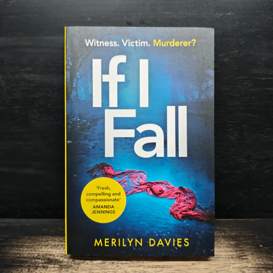 If I Fall - Merilyn Davies รูปที่ 1
