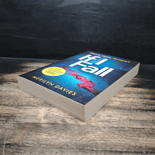 If I Fall - Merilyn Davies รูปที่ 4
