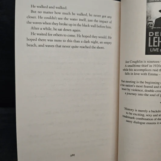World Gone By - Dennis Lehane รูปที่ 9