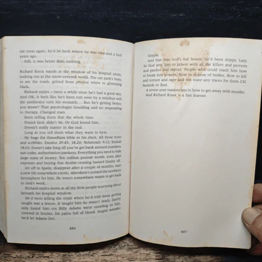 Dark Blood - Stuart MacBride รูปที่ 8