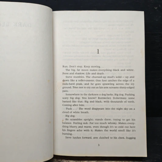 Dark Blood - Stuart MacBride รูปที่ 7
