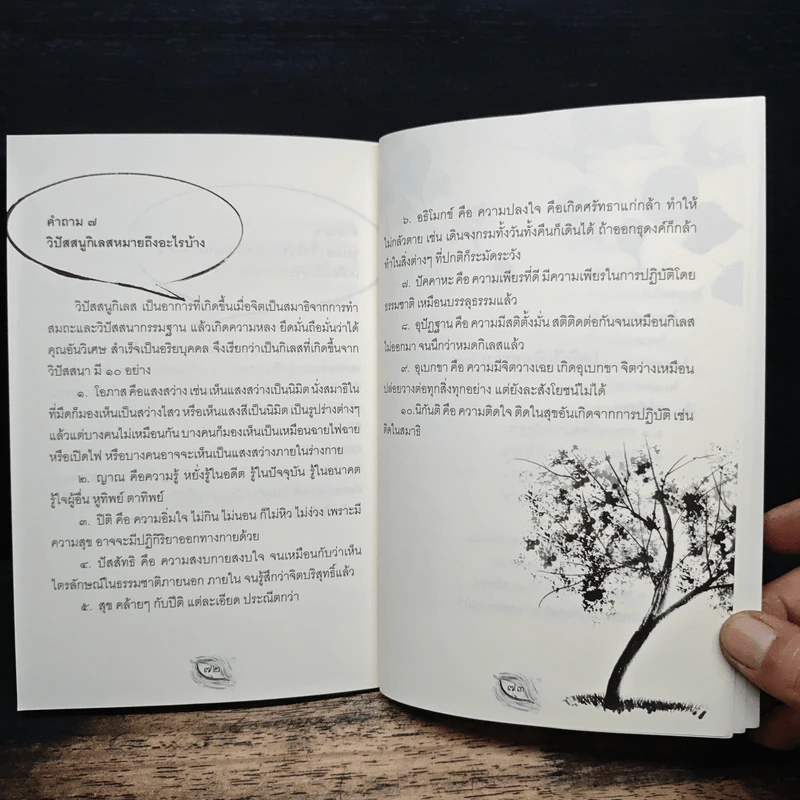 ดวงตาเห็นธรรม - พระอาจารย์มิตซูโอะ คเวสโก รูปที่ 9