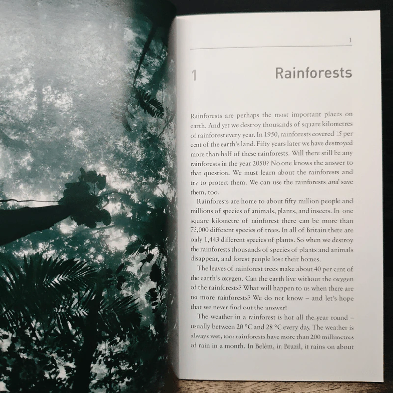 FACTFILES Rainforests - Rowena Akinyemi รูปที่ 7