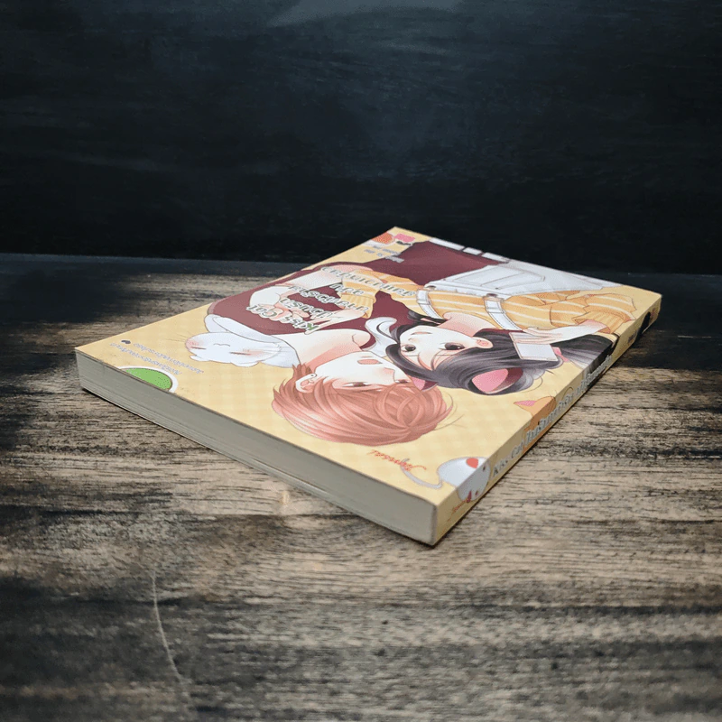 Kiss Cat ป่วนรักนายตัวร้ายฉบับยัยแมวเหมียว - Rainnie So รูปที่ 5