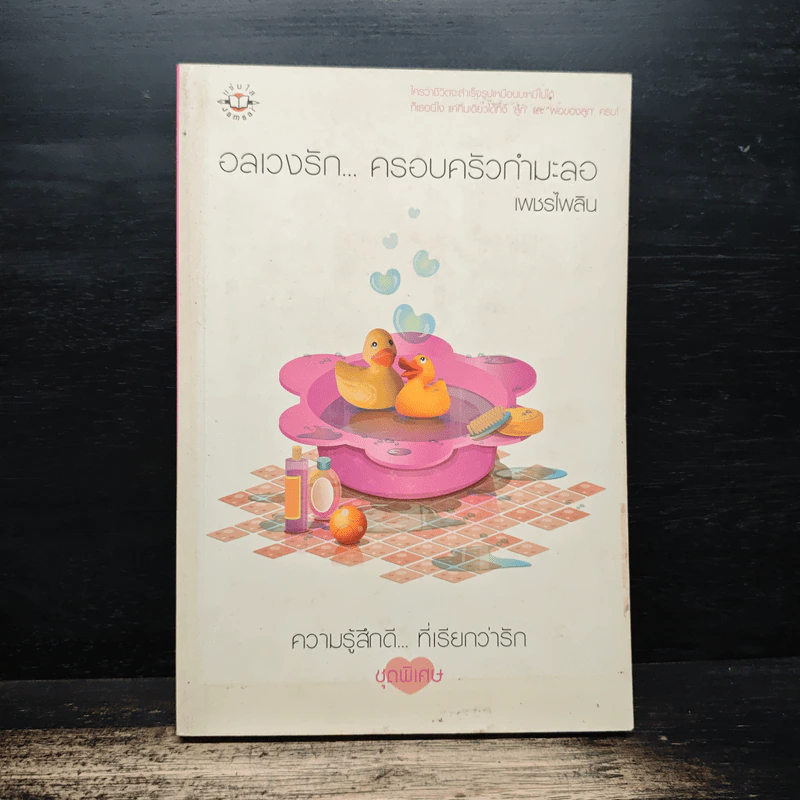 อลเวงรัก... ครอบครัวกำมะลอ - เพชรไพลิน รูปที่ 1