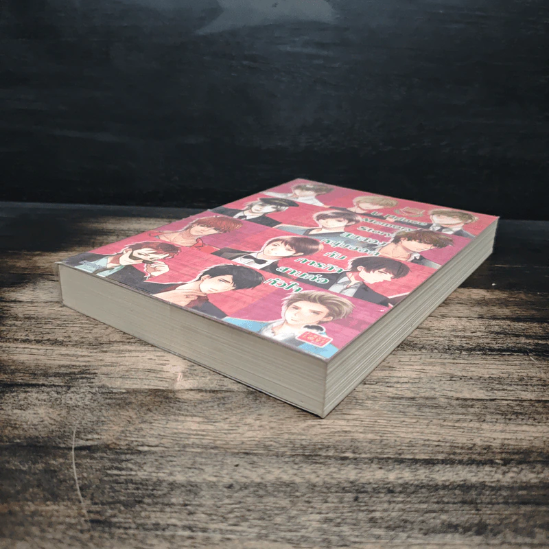 U Prince Memory Story สิบสองหนุ่มฮอตกับภารกิจสานต่อหัวใจ รูปที่ 4