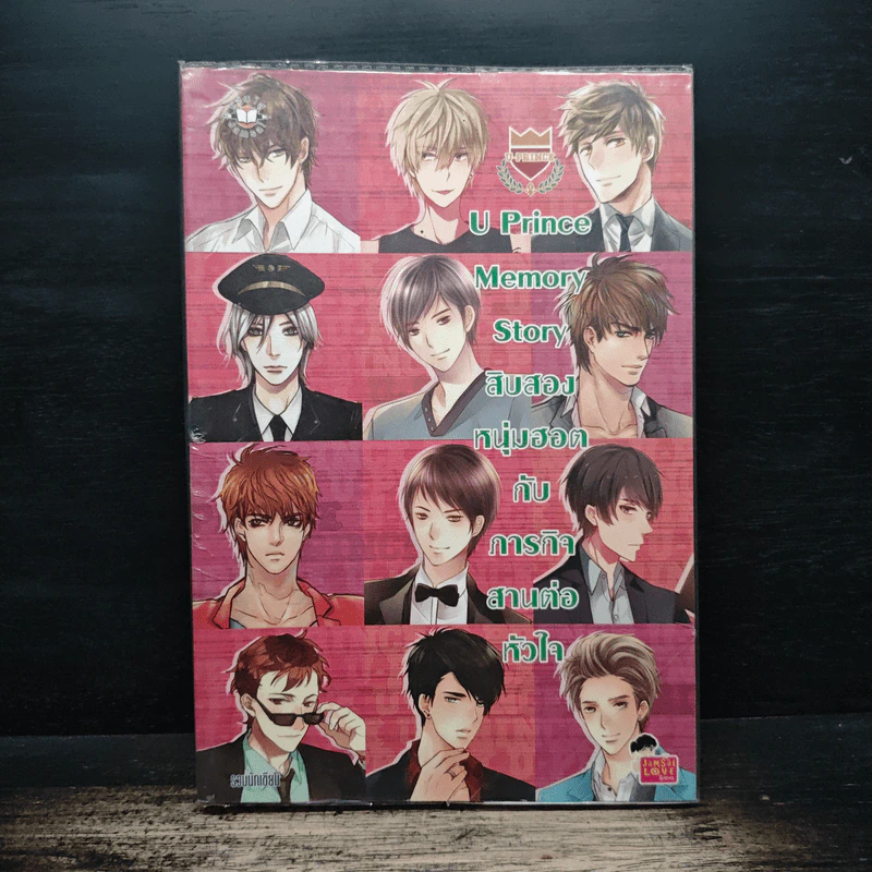 U Prince Memory Story สิบสองหนุ่มฮอตกับภารกิจสานต่อหัวใจ รูปที่ 1
