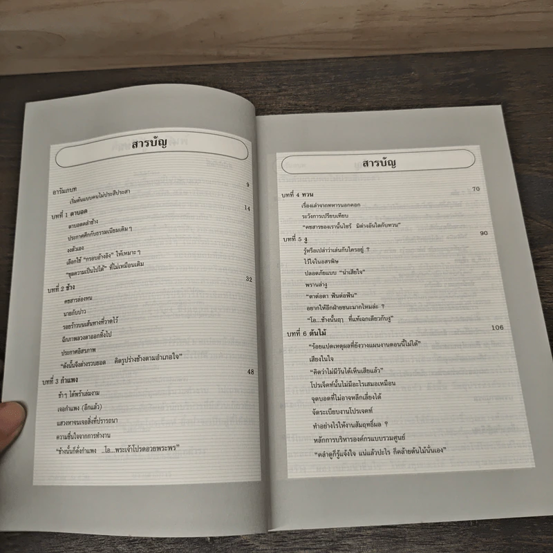 บริหารโปรเจ็คท์ให้สัมฤทธิ์ผล : แบบตาบอดคลำช้าง - David A. Schmaltz รูปที่ 8