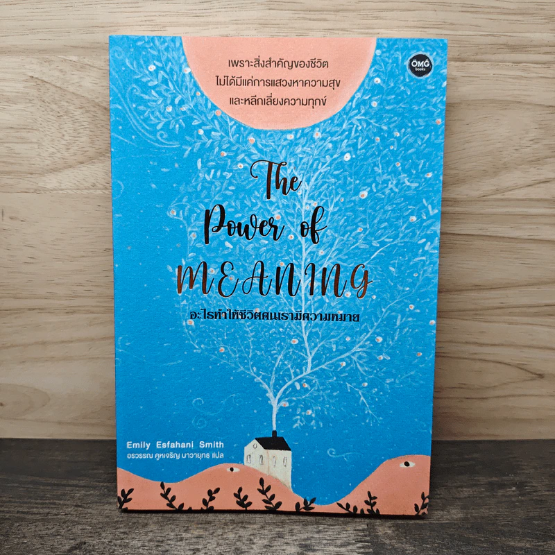อะไรทำให้ชีวิตคนเรามีความหมาย : The Power of Meaning - Emily Esfahani Smith (เอมิลี่ เอสฟาฮานี สมิธ) รูปที่ 1