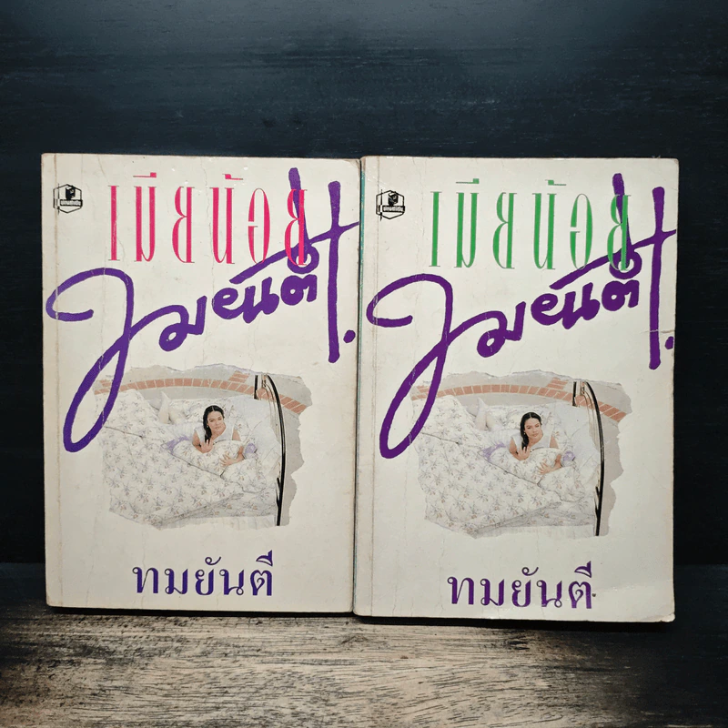 เมียน้อย 2 เล่มจบ - ทมยันตี รูปที่ 1