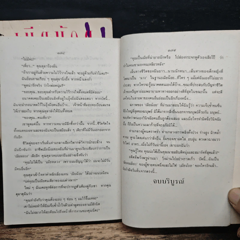เมียน้อย 2 เล่มจบ - ทมยันตี รูปที่ 8