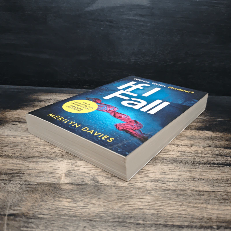 If I Fall - Merilyn Davies รูปที่ 4