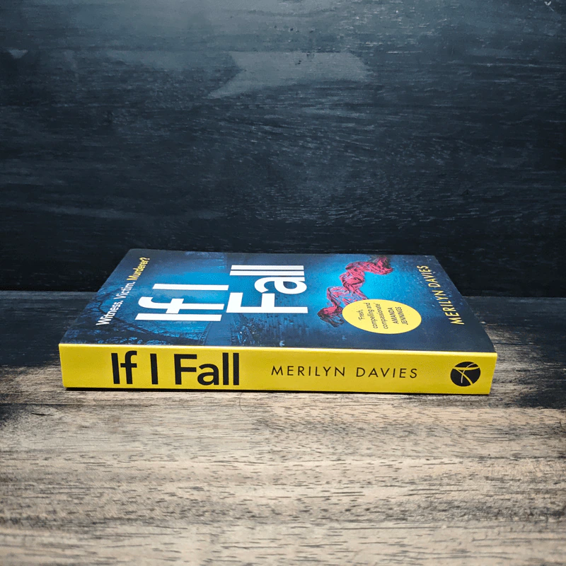 If I Fall - Merilyn Davies รูปที่ 3