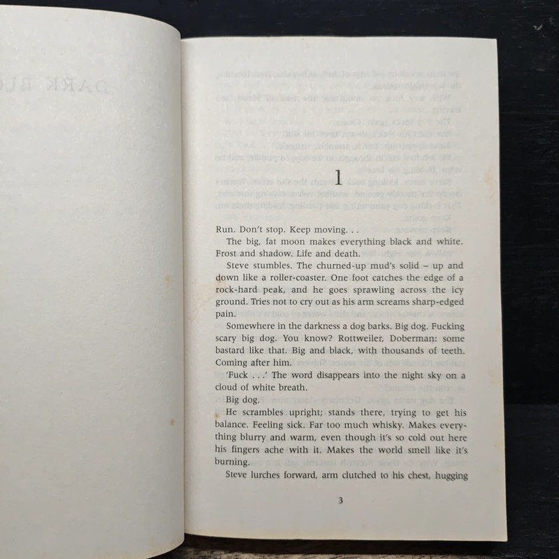 Dark Blood - Stuart MacBride รูปที่ 7