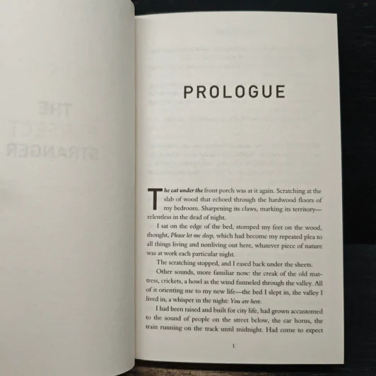 The Perfect Stranger - Megan Miranda รูปที่ 7