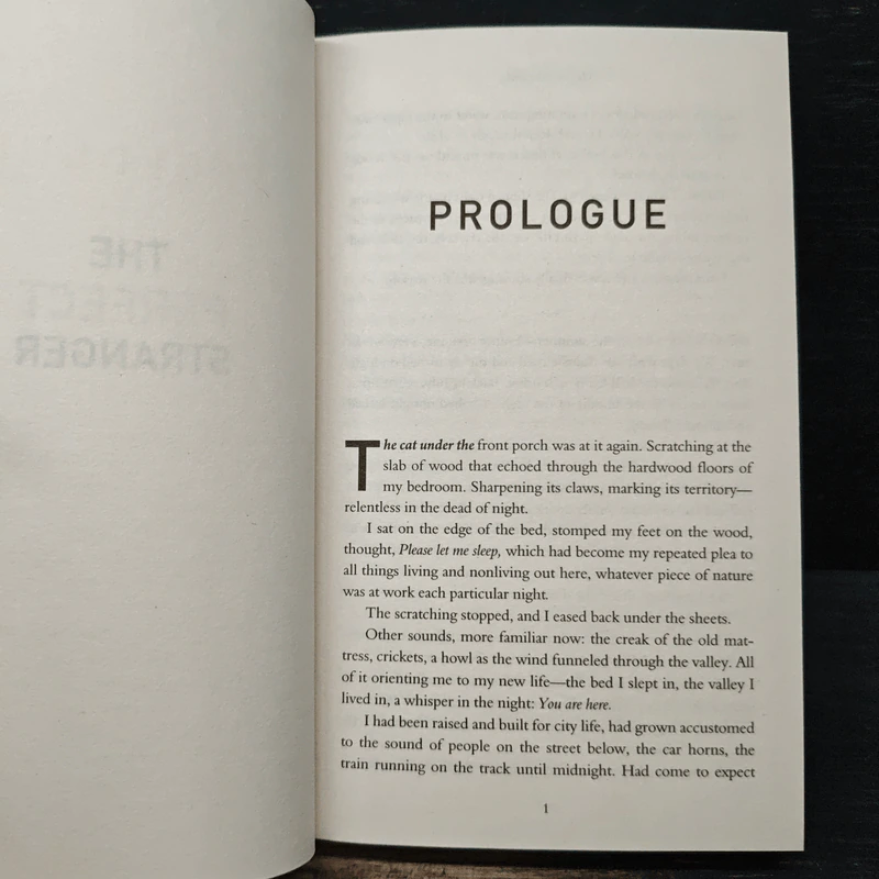 The Perfect Stranger - Megan Miranda รูปที่ 7