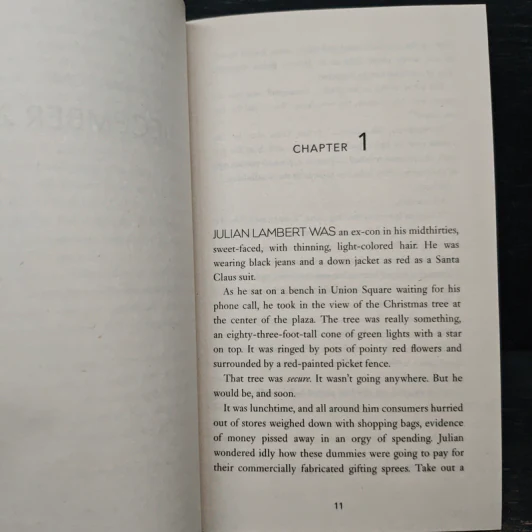 19th Christmas - James Patterson, Maxine Paetro รูปที่ 8