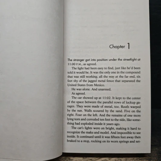 Better Off Dead - Lee Child รูปที่ 7