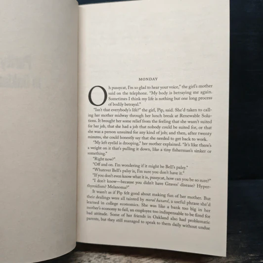 Purity - Jonathan Franzen รูปที่ 7