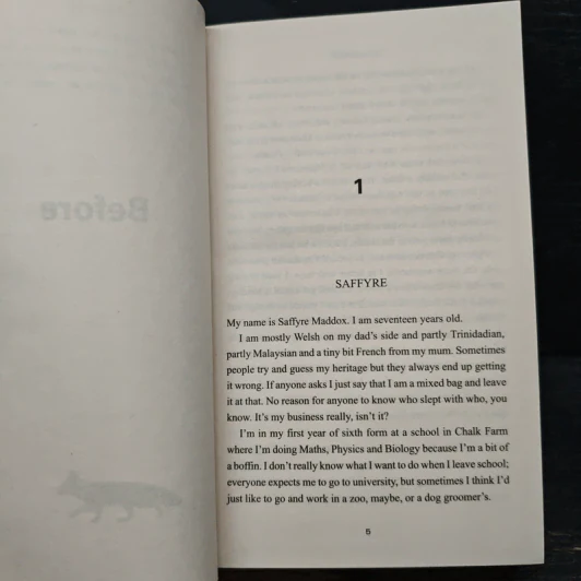 Invisible Girl - Lisa Jewell รูปที่ 7