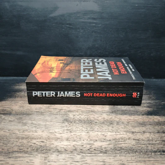 Not Dead Enough - Peter James รูปที่ 3