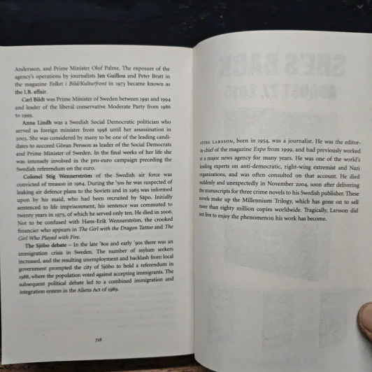 The Girl Who Kicked The Hornets' Nest - Stieg Larsson รูปที่ 9