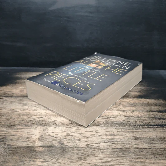 All the Little Pieces - Jilliane Hoffman รูปที่ 4