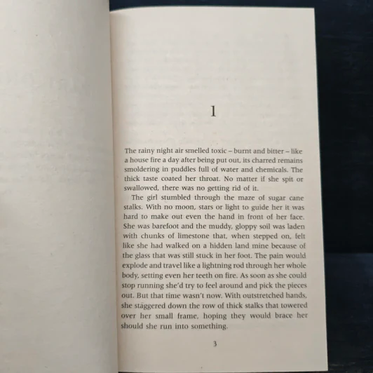 All the Little Pieces - Jilliane Hoffman รูปที่ 7