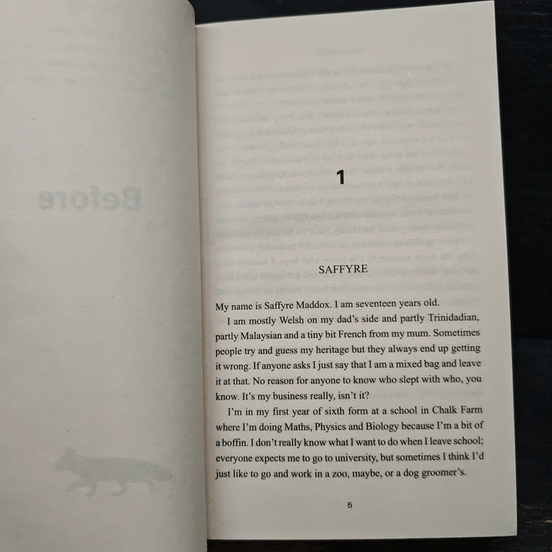 Invisible Girl - Lisa Jewell รูปที่ 7