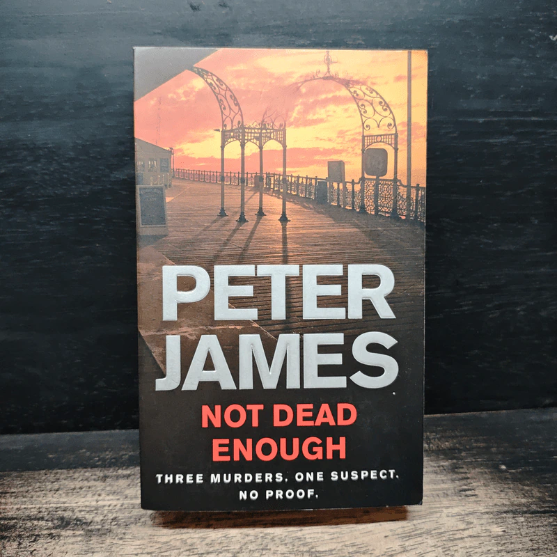 Not Dead Enough - Peter James รูปที่ 1