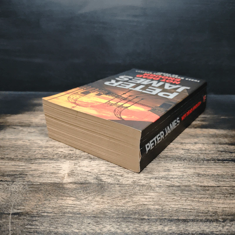 Not Dead Enough - Peter James รูปที่ 5