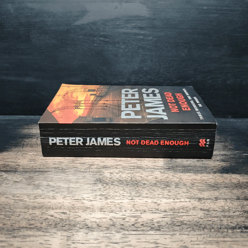 Not Dead Enough - Peter James รูปที่ 3
