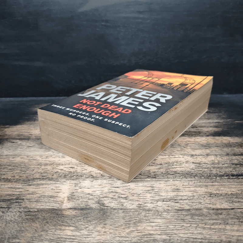Not Dead Enough - Peter James รูปที่ 4