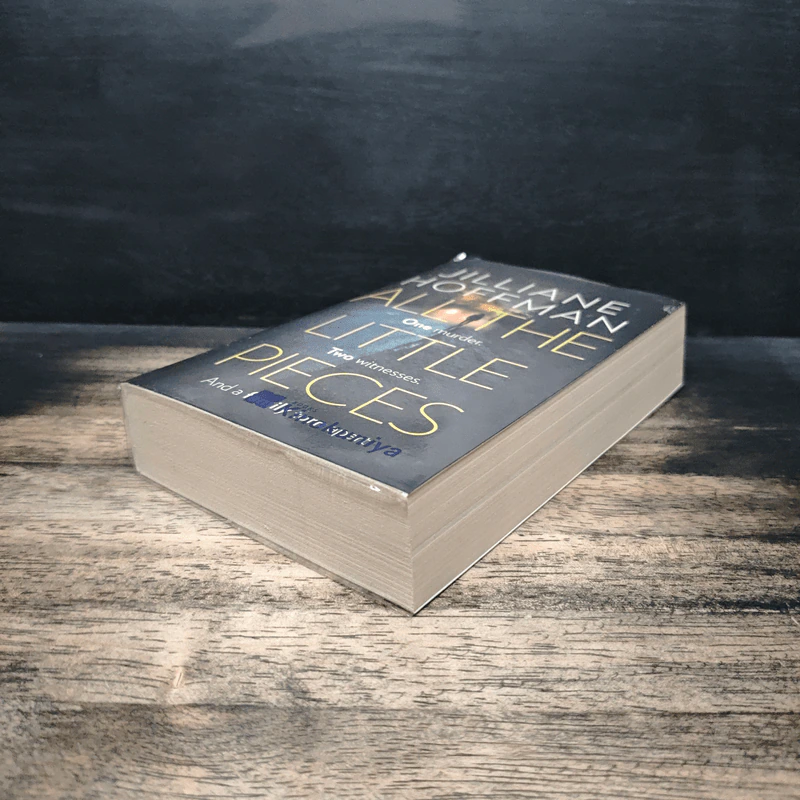 All the Little Pieces - Jilliane Hoffman รูปที่ 4