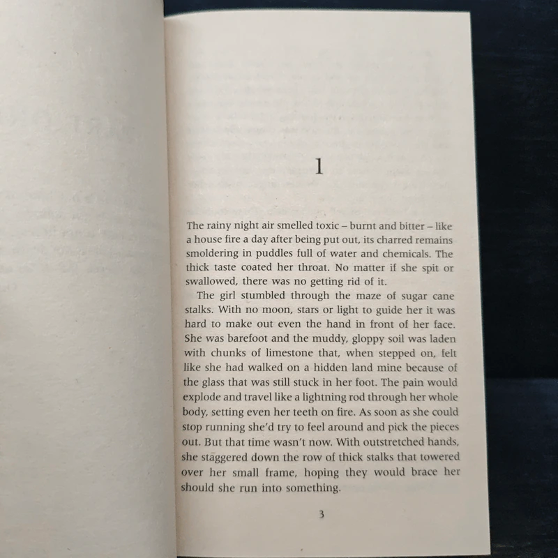 All the Little Pieces - Jilliane Hoffman รูปที่ 7