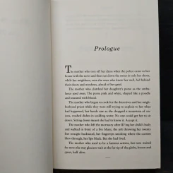When the Stars Go Dark - Paula McLain รูปที่ 7