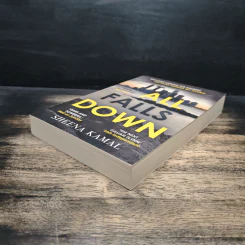 It All Falls Down - Sheena Kamal รูปที่ 4