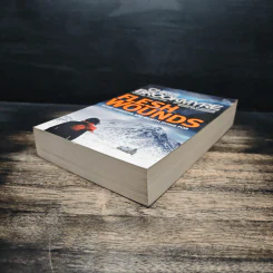 Flesh Wounds - Chris Brookmyre รูปที่ 4