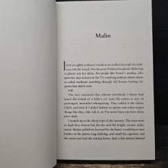 After She's Gone - Camilla Grebe รูปที่ 7