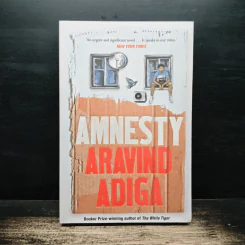 Amnesty - Aravind Adiga รูปที่ 1