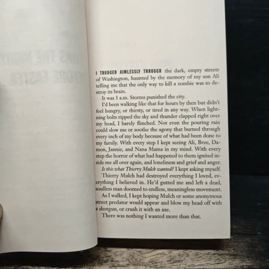 Cross My Heart - James Patterson รูปที่ 6