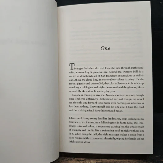 When the Stars Go Dark - Paula McLain รูปที่ 8