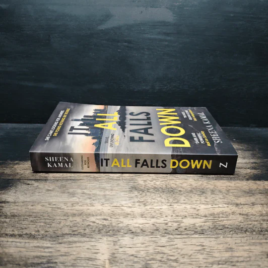 It All Falls Down - Sheena Kamal รูปที่ 3