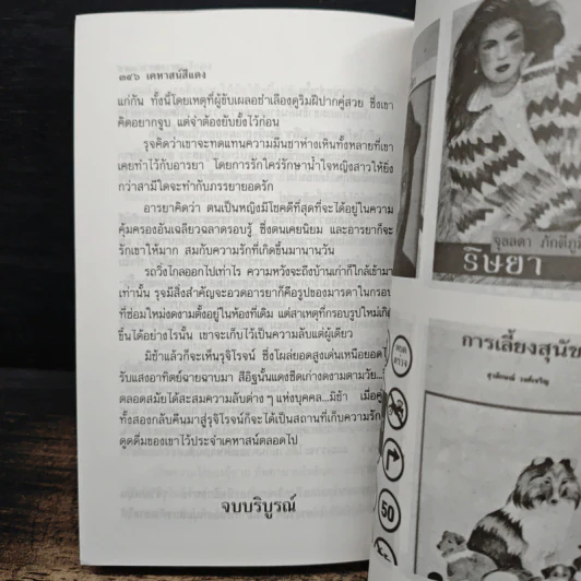 เคหาสน์สีแดง 2 เล่มจบ - ดวงดาว รูปที่ 8