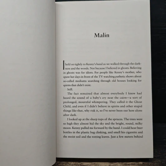 After She's Gone - Camilla Grebe รูปที่ 7