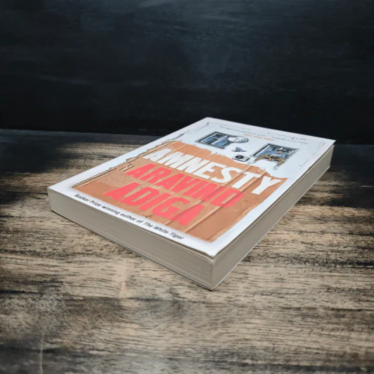 Amnesty - Aravind Adiga รูปที่ 4